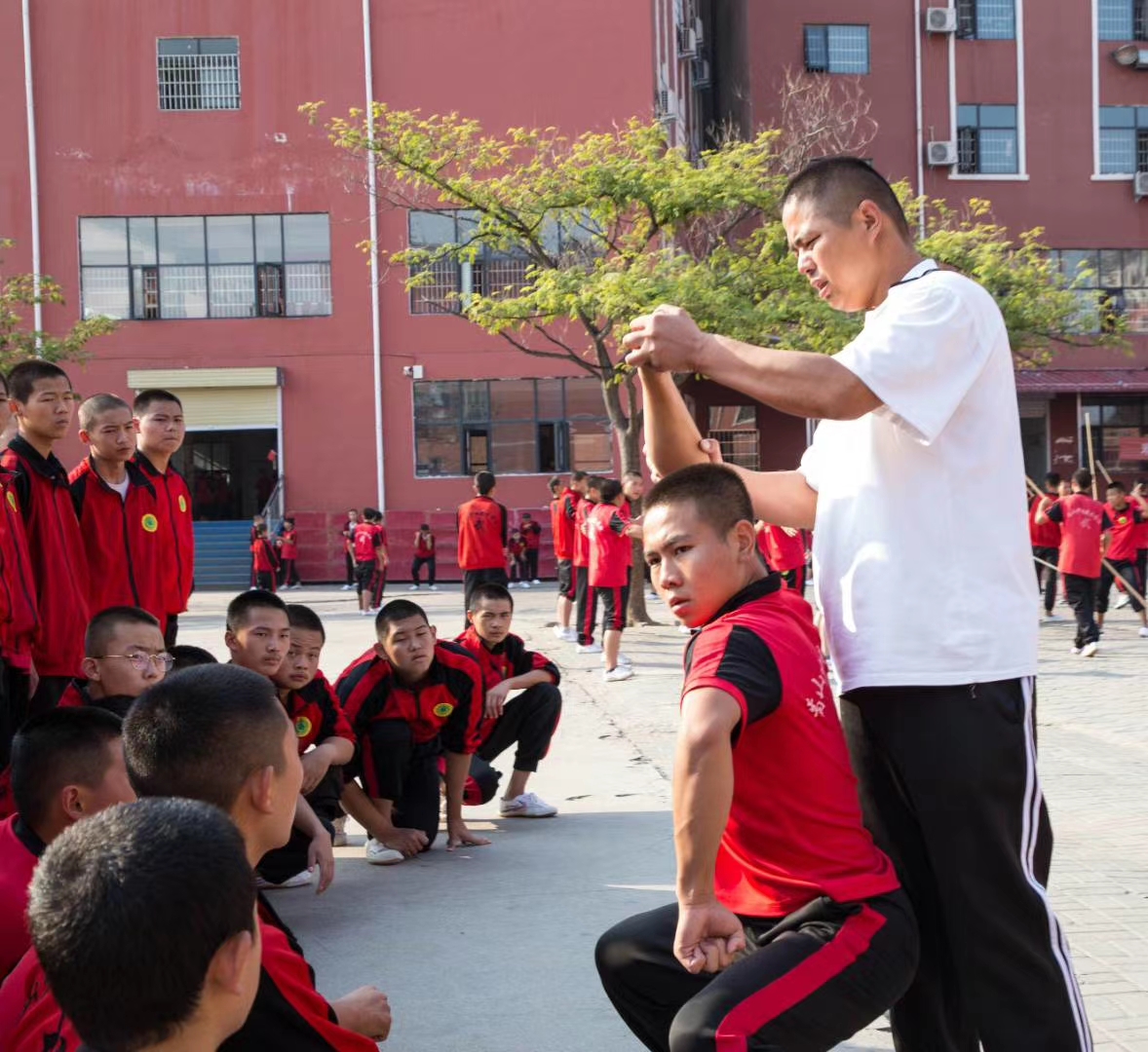少林寺武校的學生在表演武術